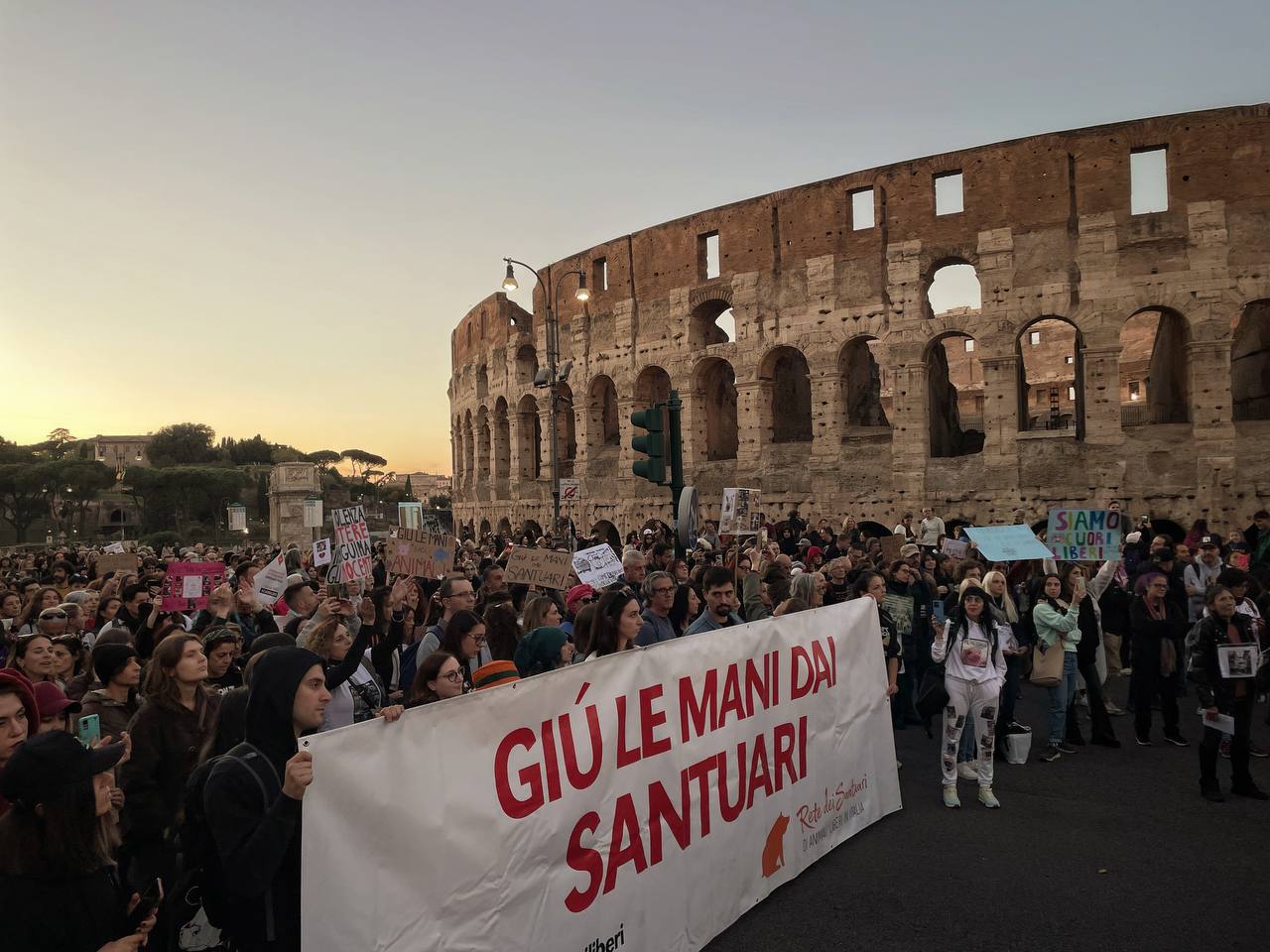 corteo roma 404160052_649607134012932_4699284706530237249_n - copia